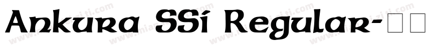 Ankura SSi Regular字体转换